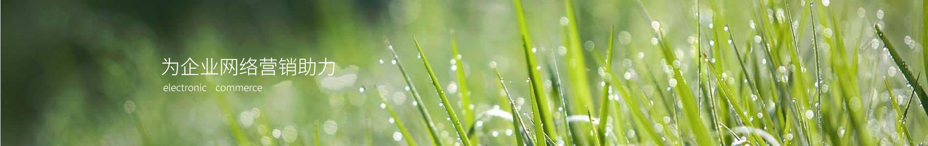 ˫ǿſƼ޹˾